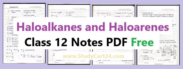 Preview and Download Link of the Haloalkanes and Haloarenes Notes
