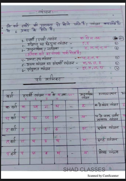 Images of Hindi Grammar ( हिंदी व्याकरण ) Handwritten Notes PDF - Page 3