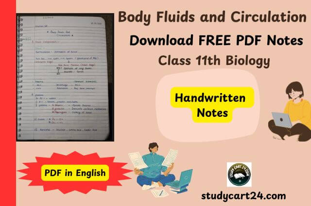 Chapter 18: Body Fluids and Circulation Class 11 Biology Handwritten Notes PDF in English – Free Download
