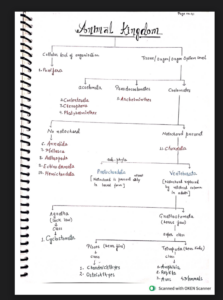 Chapter 4: Animal Kingdom Class 11 Notes Handwritten PDF FREE