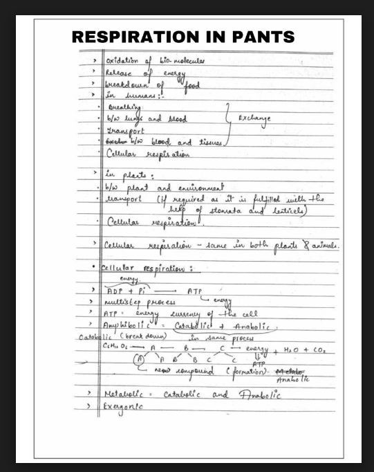 Images of Chapter 14: Respiration in Plants Class 11 Biology Handwritten Notes PDF - Page 1
