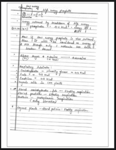 Chapter 14: Respiration in Plants Class 11 Biology Notes PDF