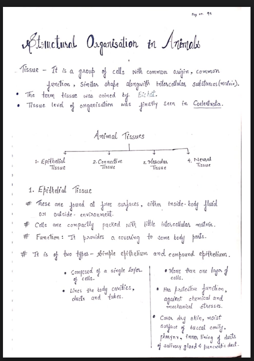 Images of Chapter 7: Structural Organisation in Animals Class 11 Biology Notes PDF - Page 1