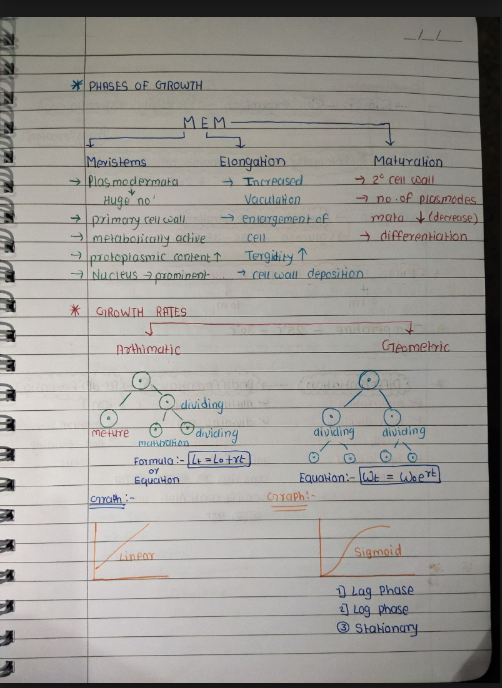 Images of Chapter 15: Plant - Growth and Development Class 11 Biology Handwritten Notes PDF - Page 2