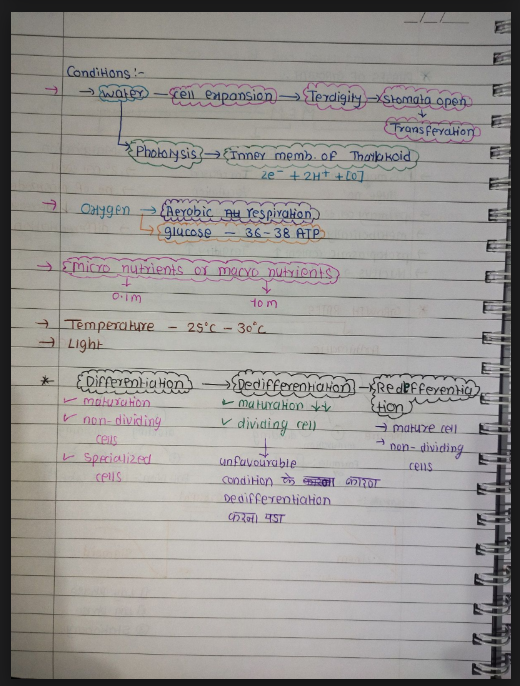 Images of Chapter 15: Plant - Growth and Development Class 11 Biology Handwritten Notes PDF - Page 3