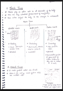 Chapter 7: Structural Organisation in Animals Class 11 Notes PDF