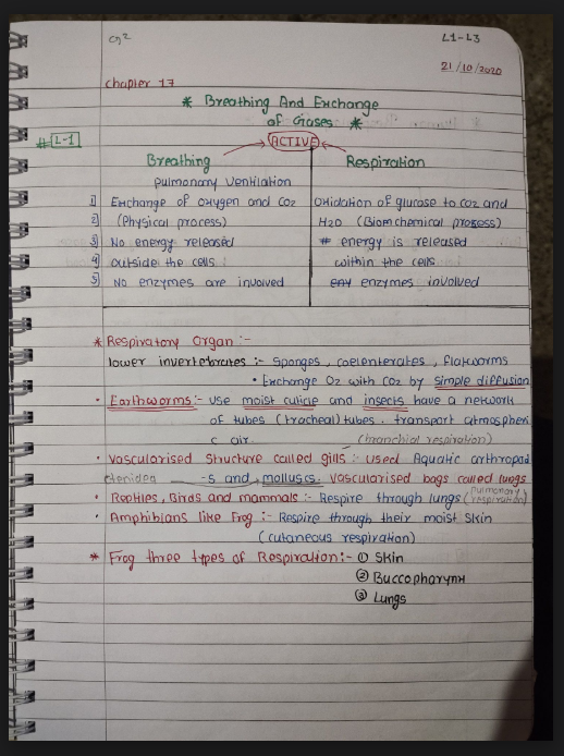 Images of Breathing and Exchange of Gases Chapter Class 11 Biology Handwritten Notes PDF - Page 1