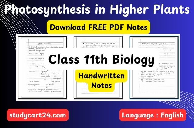 Chapter 13: Photosynthesis in Higher Plants Class 11 Biology Handwritten Notes PDF in English – Free Download