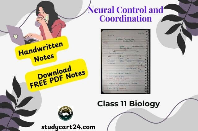 Chapter 21: Neural Control and Coordination Class 11 Biology Handwritten Notes PDF in English – Free Download