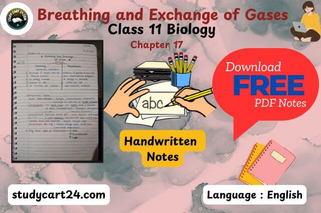 Chapter 17: Breathing and Exchange of Gases Class 11 Biology Handwritten Notes PDF in English – Free Download