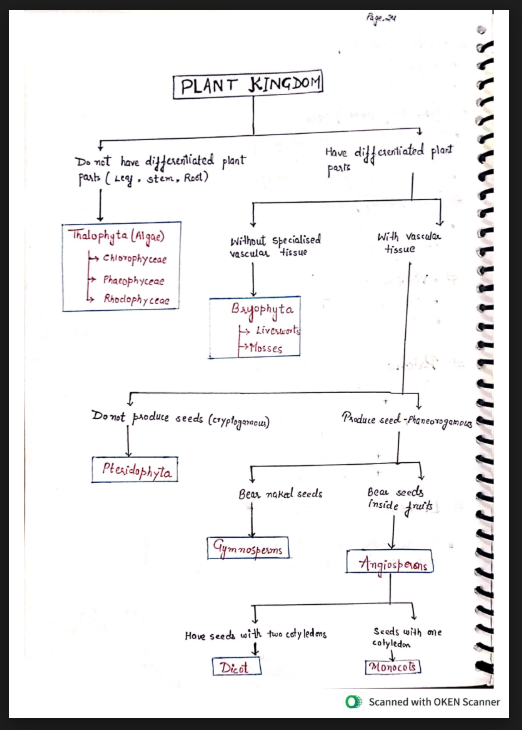 Images of Plant Kingdom Class 11 Biology Notes PDF - Page 1