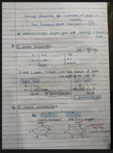 Chapter 9: Biomolecules Class 11 Biology Handwritten Notes PDF