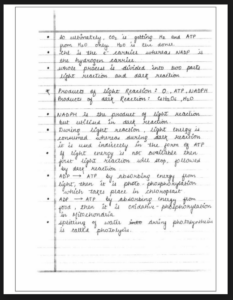 Chapter13: Photosynthesis in Higher Plants Class 11 Biology Notes
