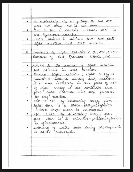 Images of Photosynthesis in Higher Plants Class 11 Biology Notes PDF - Page 2