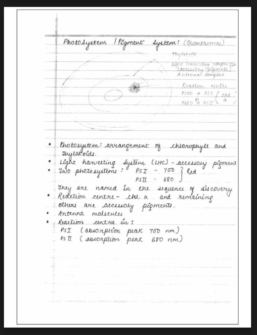 Images of Photosynthesis in Higher Plants Class 11 Biology Notes PDF - Page 3