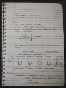Chapter 18: Body Fluids and Circulation Class 11 Notes Free PDF