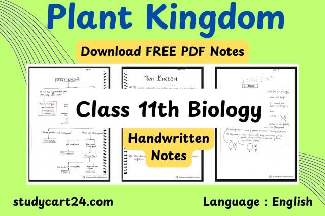 Chapter 3: Plant Kingdom Class 11 Biology Handwritten Notes PDF in English – Free Download