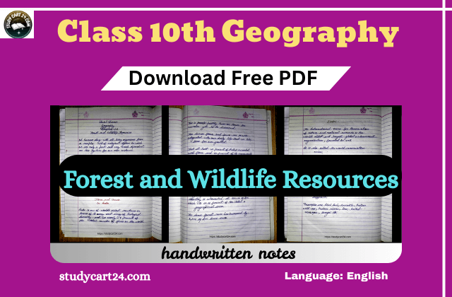 class 10 geography Chapter 7