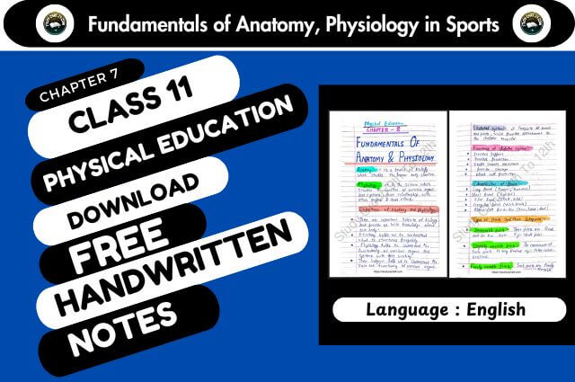 Chapter 7: Fundamentals of Anatomy, Physiology in Sports - Physical Education for Class 11 Handwritten Notes PDF Download Free