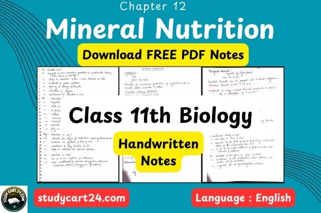Chapter 12: Mineral Nutrition Class 11 Biology Handwritten Notes PDF in English – Free Download
