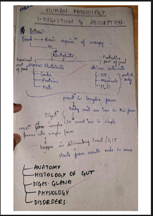 Images of Digestion and Absorption Class 11 Biology Notes PDF - Page 1