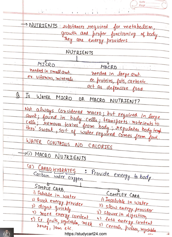  Chapter 2 Sports and Nutrition Handwritten Notes