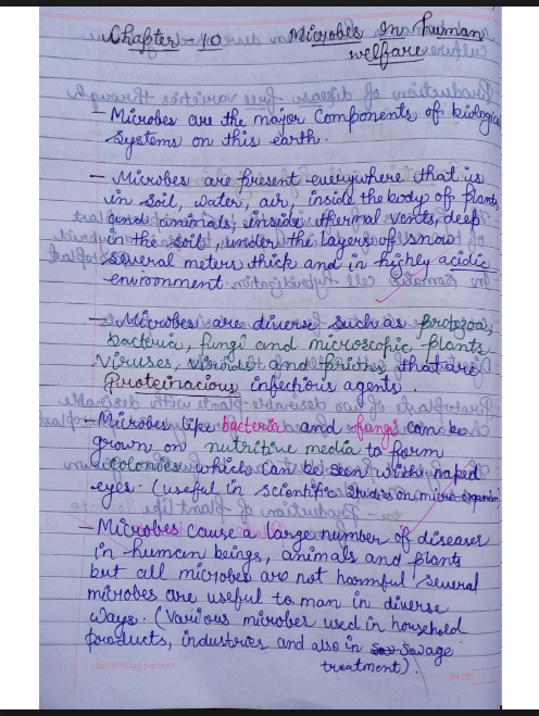 Images of Chapter 10: Microbes in Human Welfare Class 12 Biology Notes - page 1