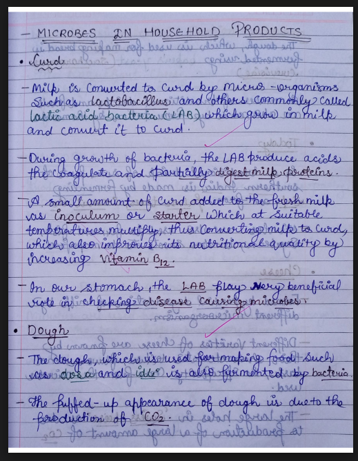 Images of Chapter 10: Microbes in Human Welfare Class 12 Biology Notes - page 2