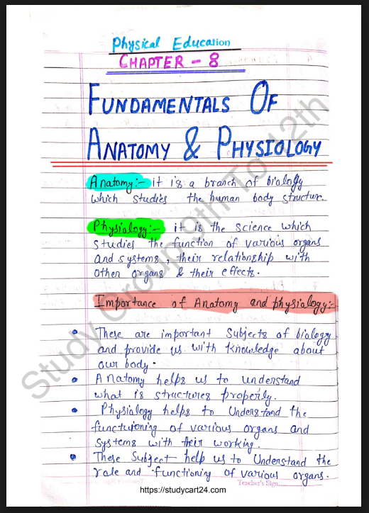 Images of Fundamentals of Anatomy, Physiology in Sports - Physical Education for Class 11 Notes PDF - Page 1