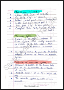Chapter 7: fundamentals of anatomy and physiology class 11 notes