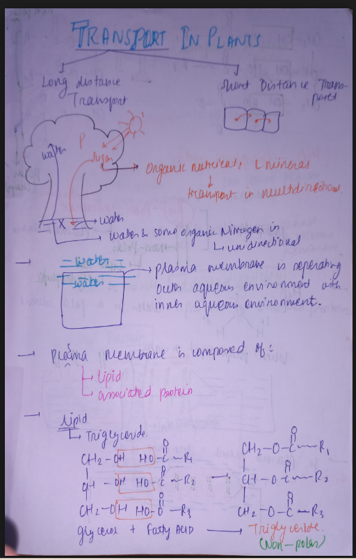 Images of Transport in Plants Class 11 Biology Notes PDF - Page 1