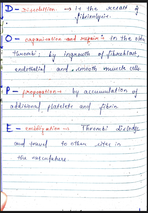 Images of Thrombus Pathology &ndash; MBBS Pathology Notes PDF page - 2