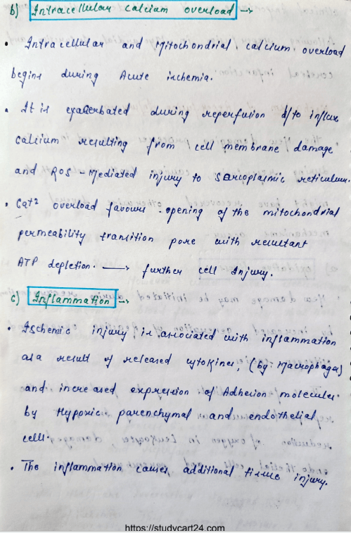 Images of Ischemia Reperfusion Injury MBBS Notes PDF - page 3