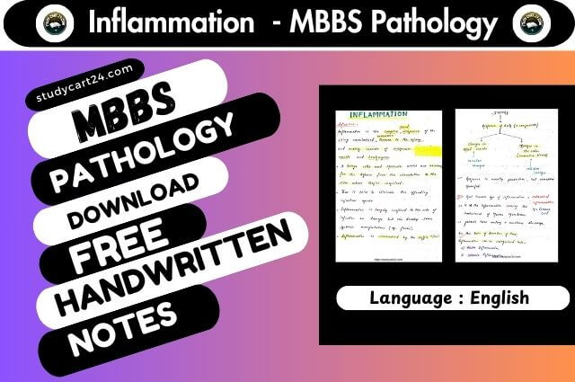 Inflammation - MBBS Pathology Notes PDF Download FREE