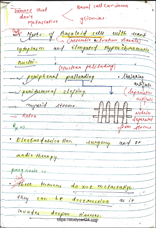 Images of Skin Pathology MBBS Notes PDF - Page 3