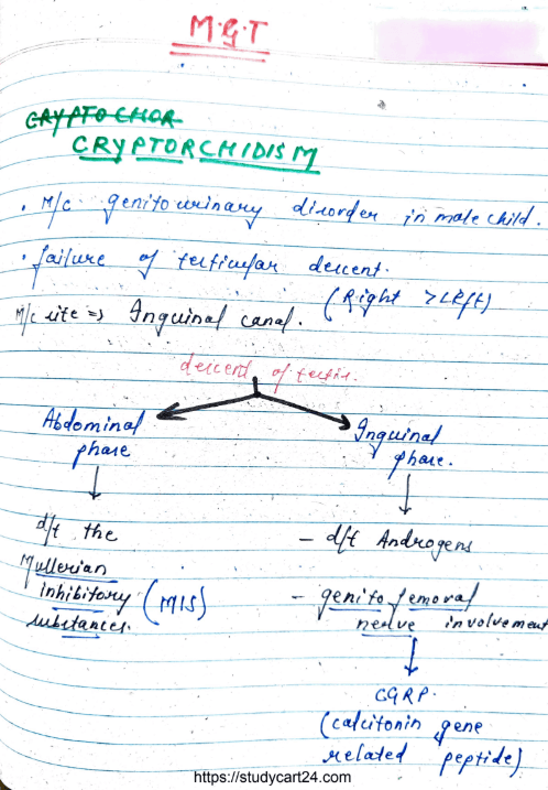 Images of Reproductive Pathology MBBS Notes PDF - page 1