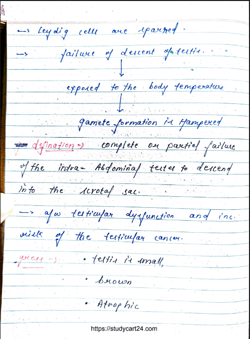 Images of Reproductive Pathology MBBS Notes PDF - page 2 