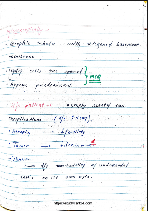 Images of Reproductive Pathology MBBS Notes PDF - page 3