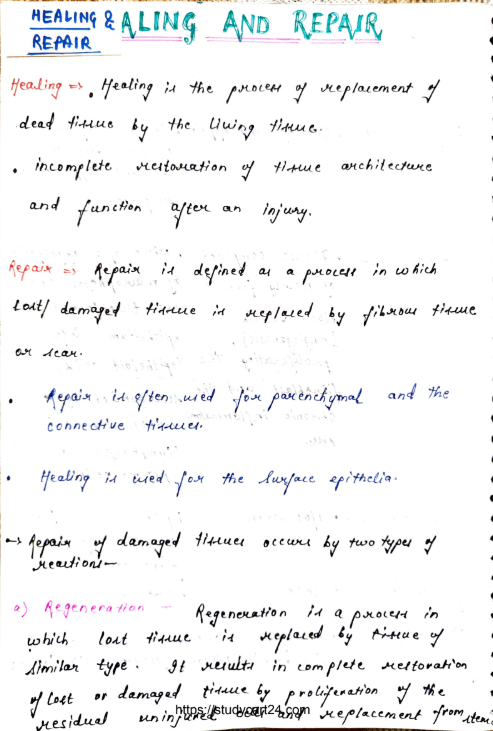 Images of Healing and Repair - MBBS Notes PDF page 1