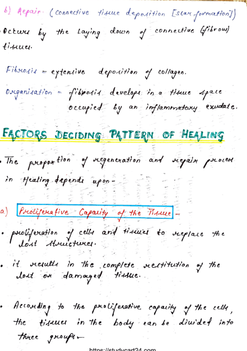 Images of Healing and Repair - MBBS Notes PDF page 2