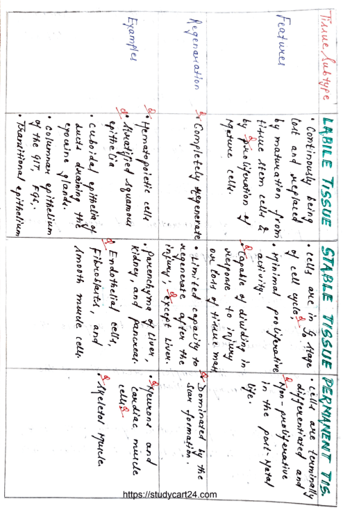 Images of Healing and Repair - MBBS Notes PDF page 3