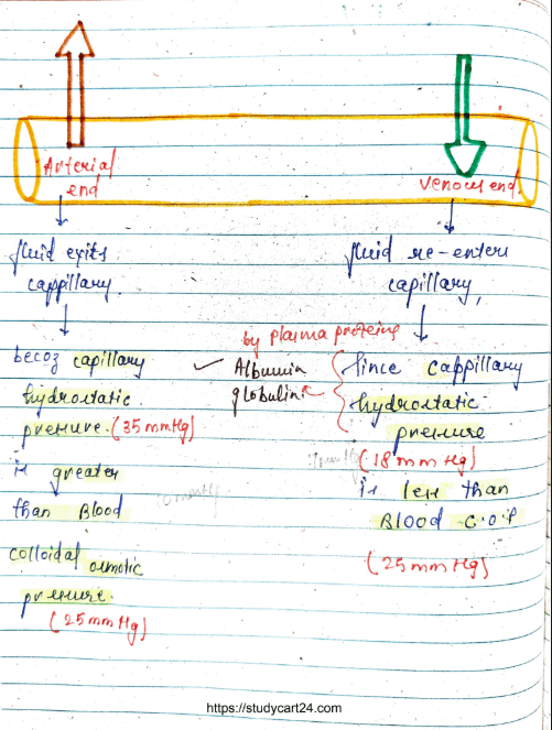 Images of Edema MBBS Pathology Notes PDF page 2