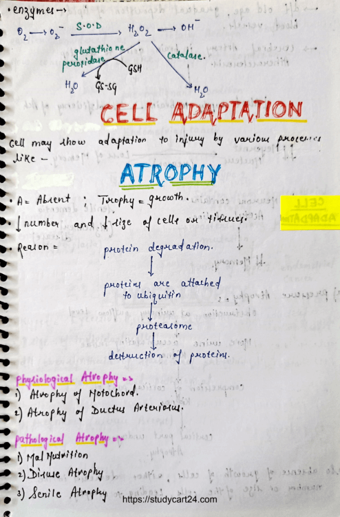 Images of Cellular Adaptation MBBS Pathology Notes PDF page 1