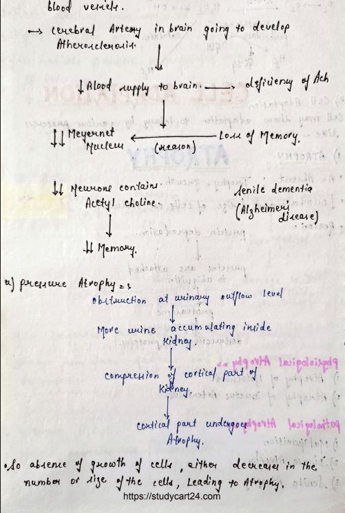 Images of Cellular Adaptation MBBS Pathology Notes PDF page 2