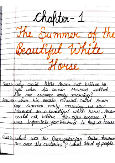 Chapter 1: The Summer of the Beautiful White Horse Class 11 English Hornbill Question Answers &ndash; Free Handwritten PDF