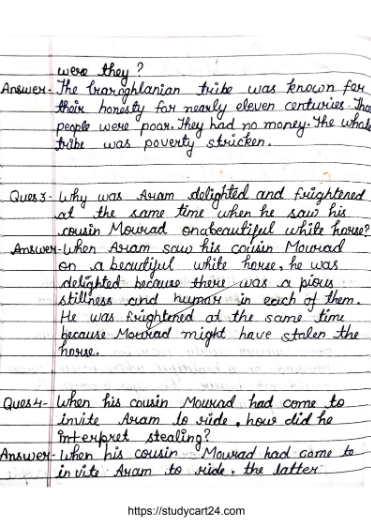 Chapter 1: The Summer of the Beautiful White Horse Class 11 English Hornbill Question Answers &ndash; Free Handwritten PDF