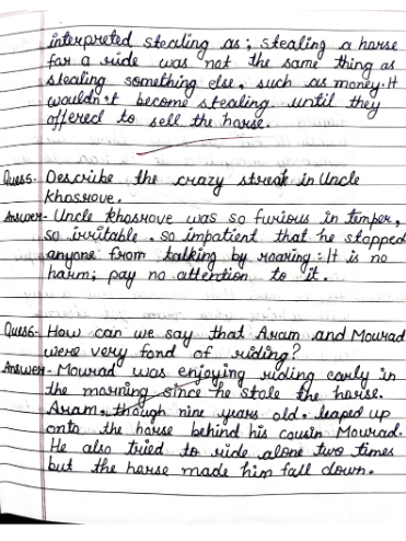 Chapter 1: The Summer of the Beautiful White Horse Class 11 English Hornbill Question Answers &ndash; Free Handwritten PDF