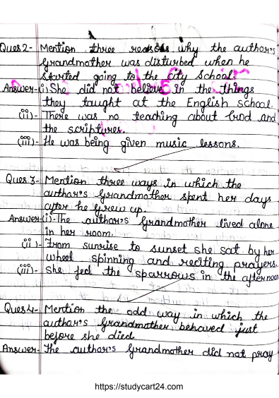 the portrait of a lady class 11 questions with answers 2