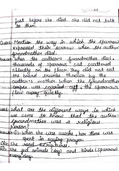 Class 11 English Hornbill Question Answers &ndash; Free Handwritten Notes,  CH 1: The Portrait of a Lady
